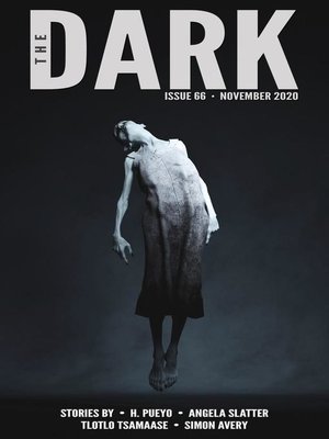 cover image of The Dark Issue 66